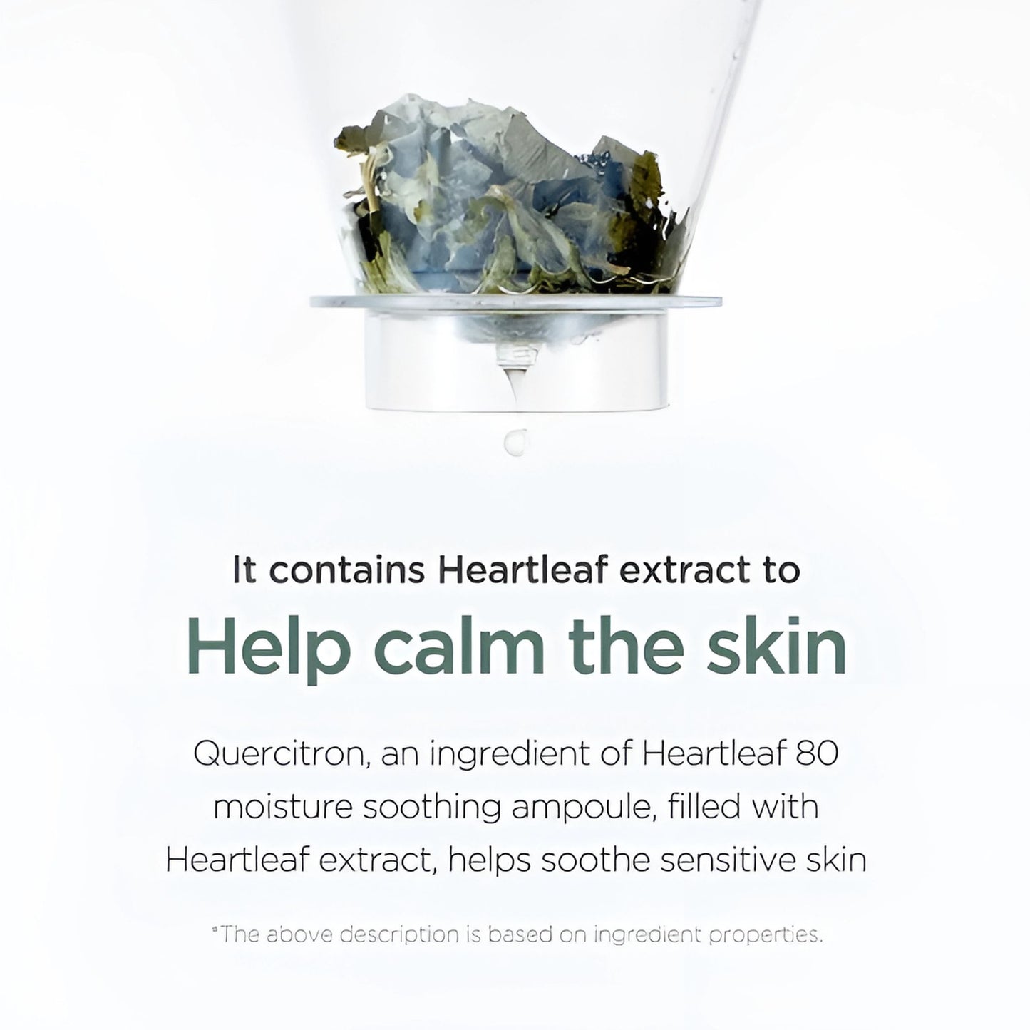 Anua Heartleaf 80% Moisture Soothing Ampoule (30ml)